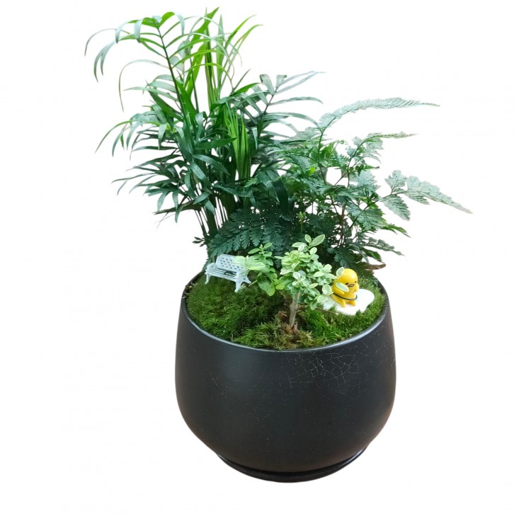 Tabletop plant (334)
