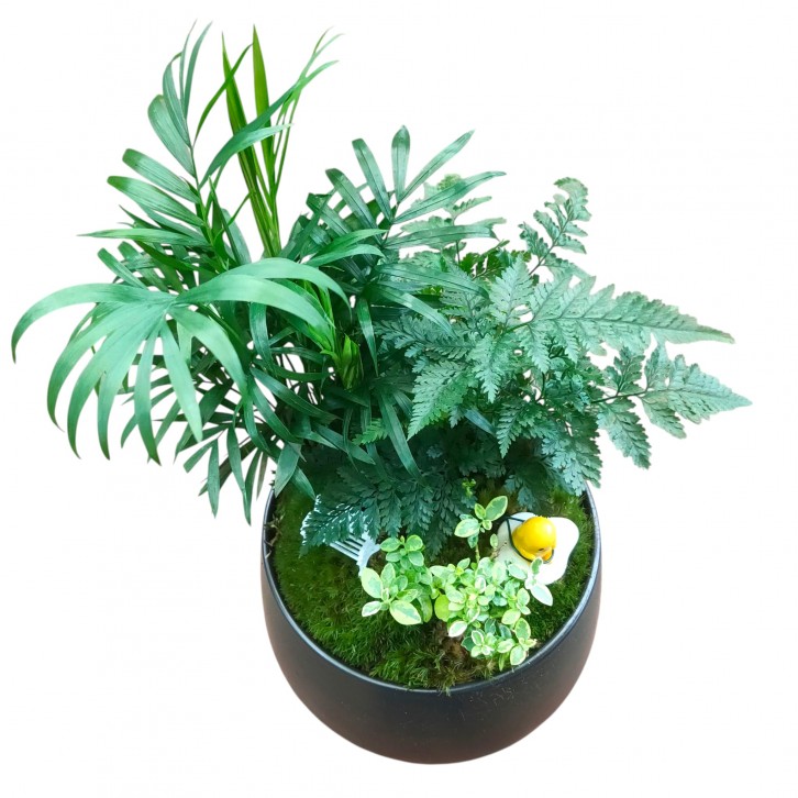 Tabletop plant (334)