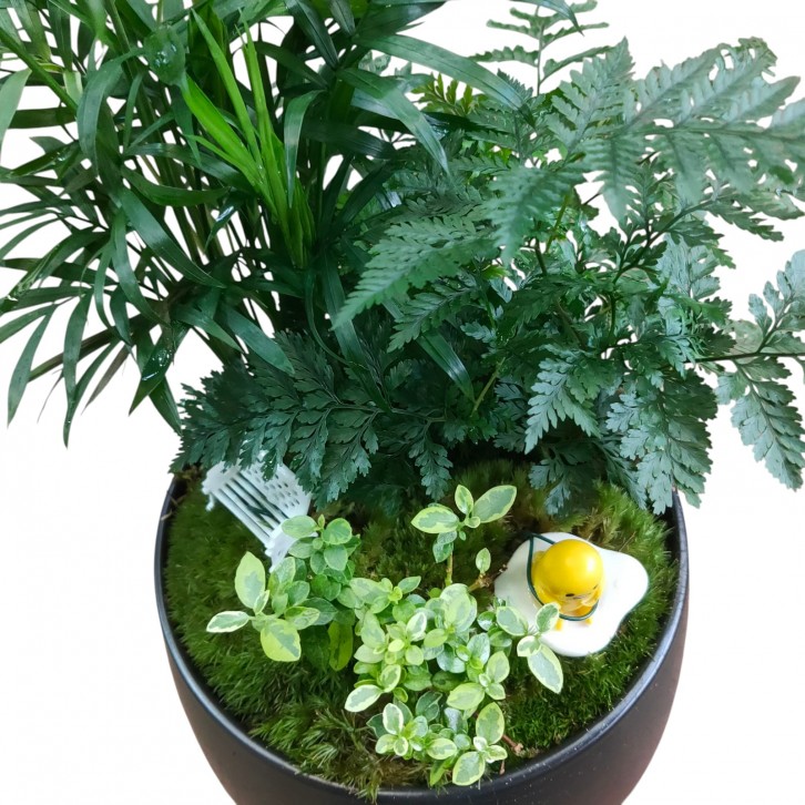 Tabletop plant (334)