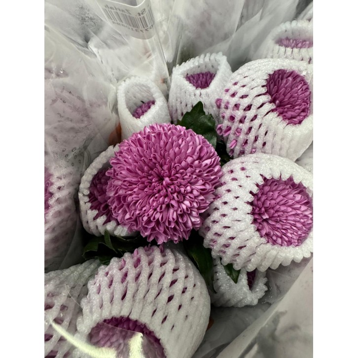 FreshCut Chrysanthemum Ping Pong