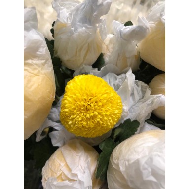 FreshCut Chrysanthemum Ping Pong