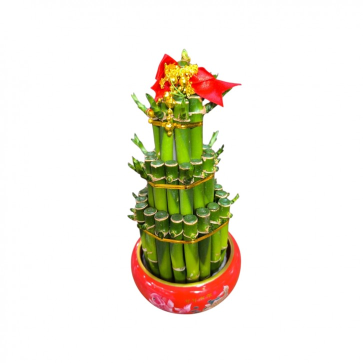CNY Lucky Bamboo Arrangement 3L 富貴竹 (3272)