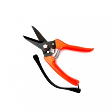Pruning Shears - Tiger 702