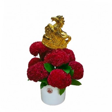 CNY Celosia Cristata Centerpiece (3981)