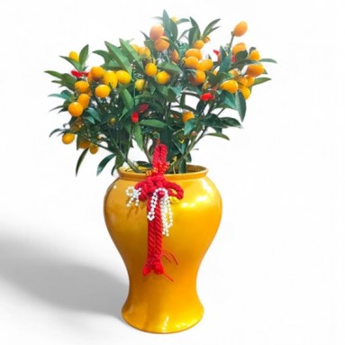 PREMIUM Oval Kumquat 金桔  in Decorative Pot