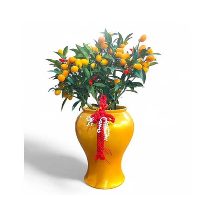 PREMIUM Oval Kumquat 金桔  in Decorative Pot
