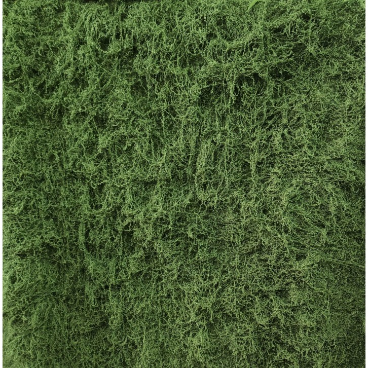 Artificial Moss Cloth / Faux Moss Carpet 苔藓布 (3556)