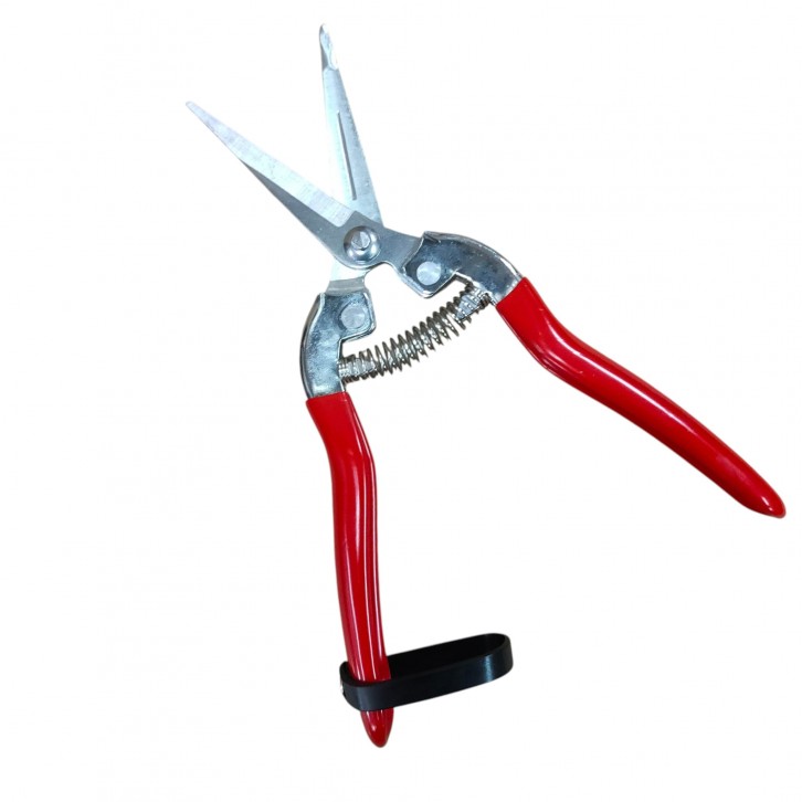 Needle-nose straight shears/Fruit Pruner (3210)