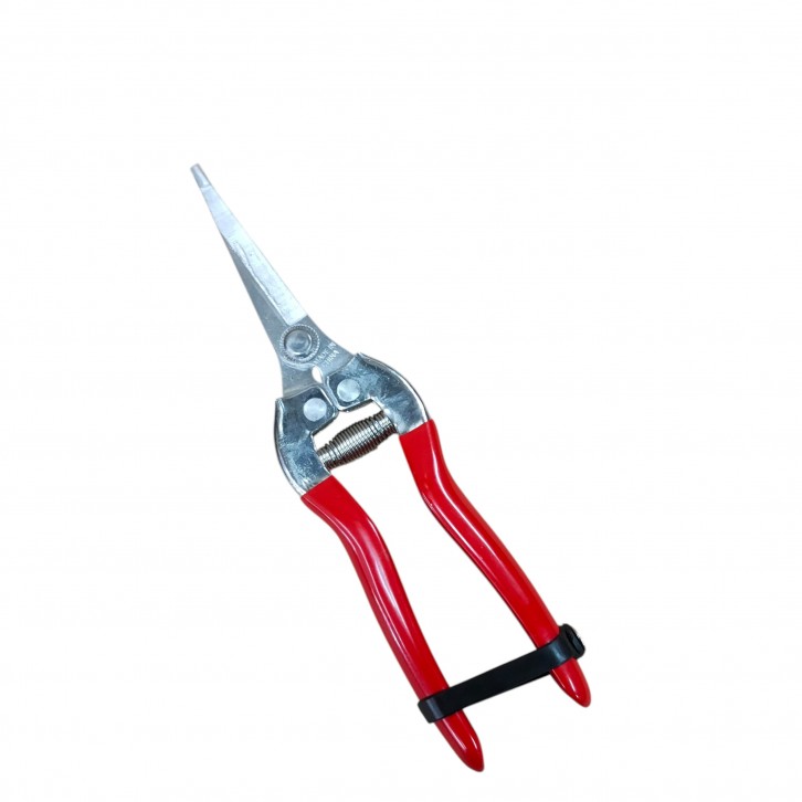 Needle-nose straight shears/Fruit Pruner (3210)