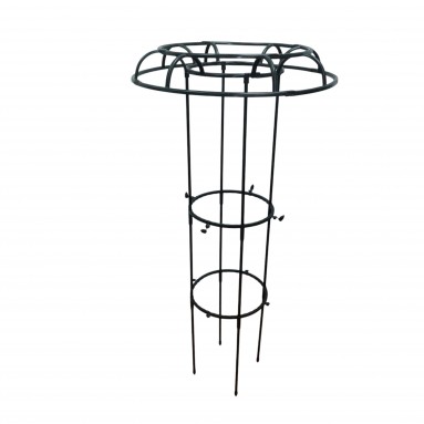 Obelisk Trellis for Climbing Plants (2250)