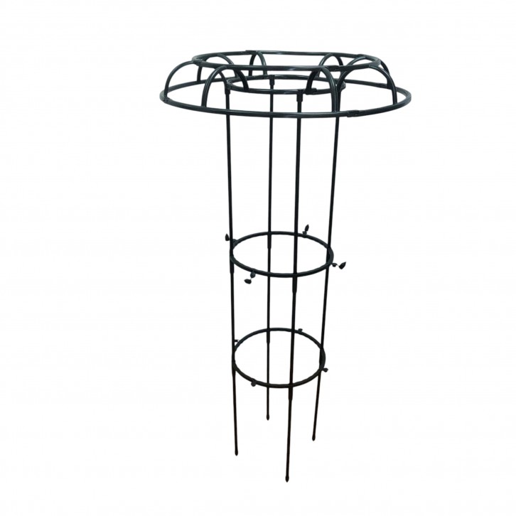 Obelisk Trellis for Climbing Plants (2250)