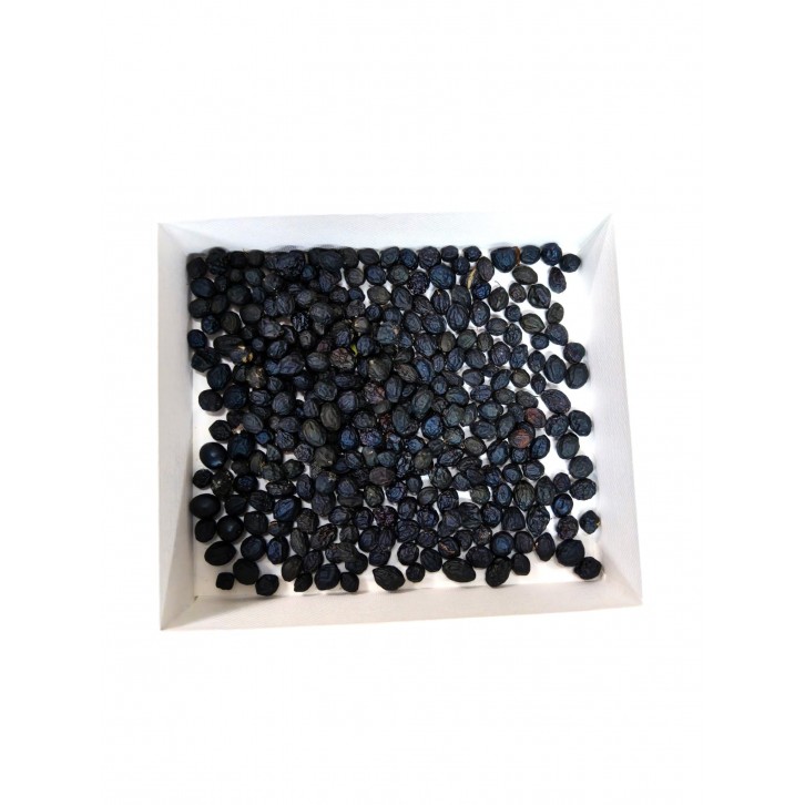 Seeds: Everfresh tree (Pithecellobium confertum)