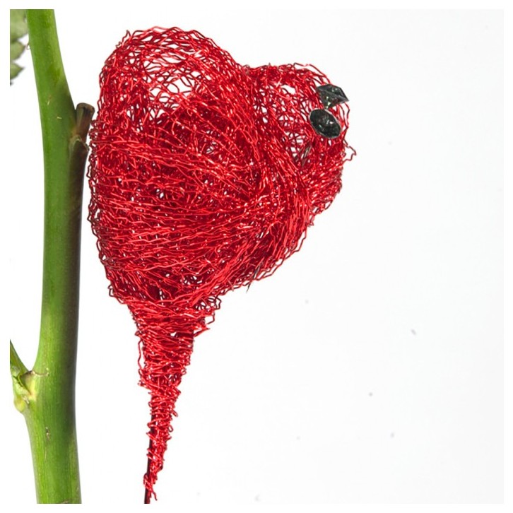 Private: Bullion Steel Wire (Oasis)