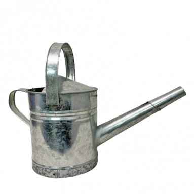 Watering Can 8 Litre Metal