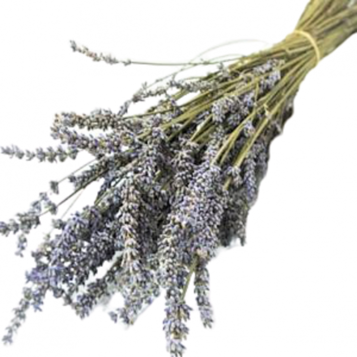Dried Lavender