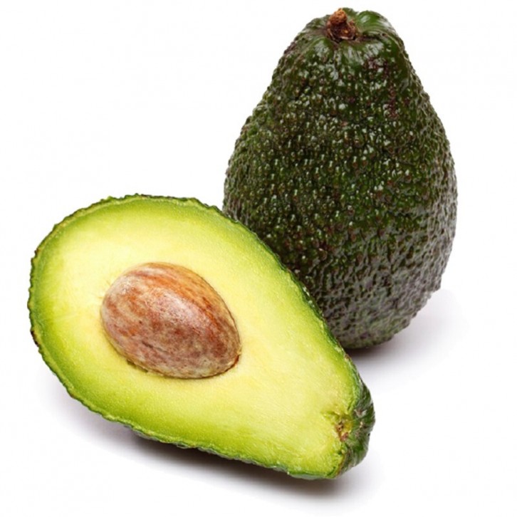Avocado (Persea Americana)