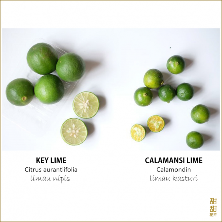 Calamansi Lime (Citrofortunella microcarpa)