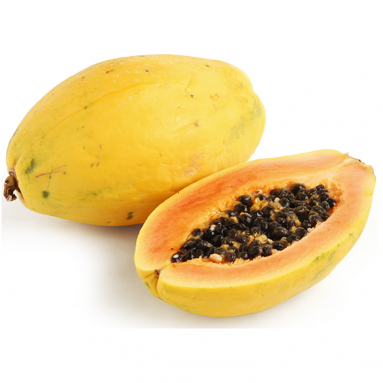 Golden Papaya (Carica Papaya)