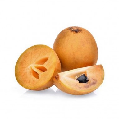 Chikoo (Manilkara Zapota)