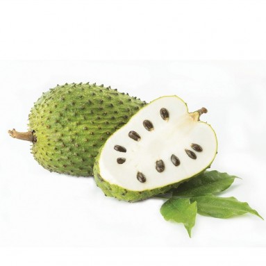 Soursop (Annona muricata)