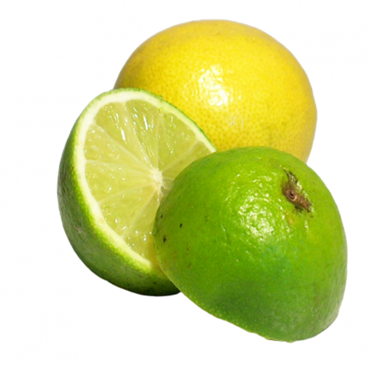 Topiary Lemon Tree (Citrus limon)
