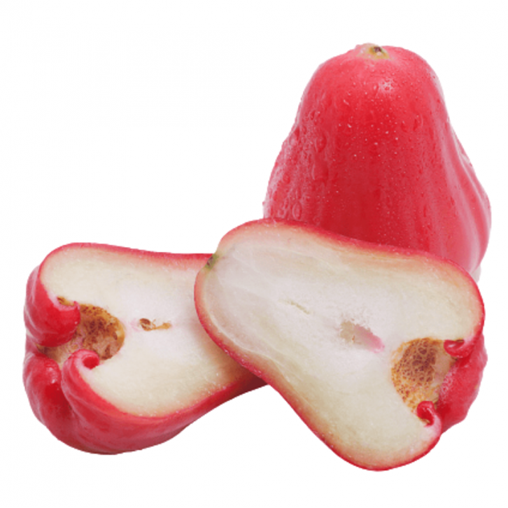 Wax Jambu - Grafted (Syzygium Samarangense)