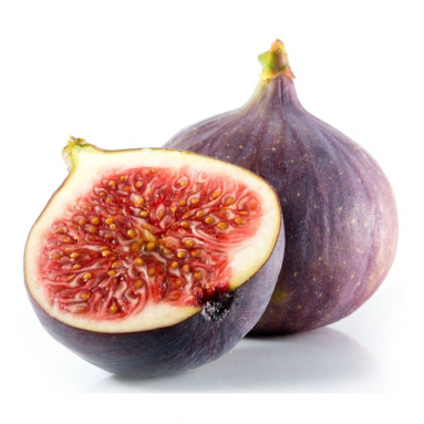 Fig (Ficus Carica)