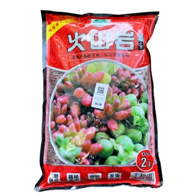 Volcanic Rock (Beauty Flower)