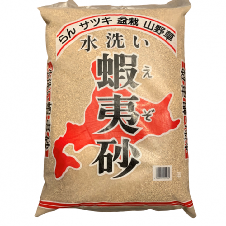 Ezo Sand 虾夷沙 Pumice (Hokkaido Japan)