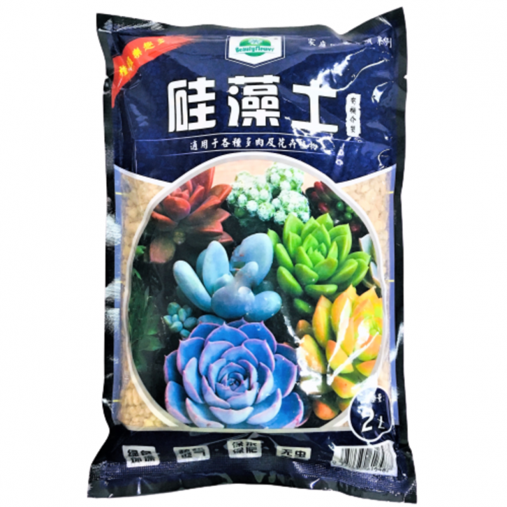 Diatomite Rock 硅藻土 (Beauty Flower)