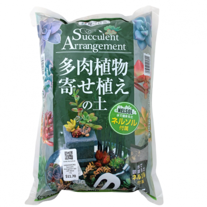 Succulent Arrangement Soil with Nelsol (Hanagokoro)