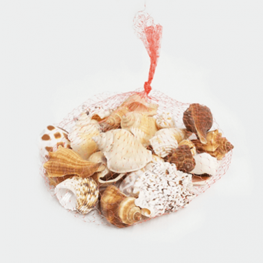 Assorted Seashells (Brown/White)