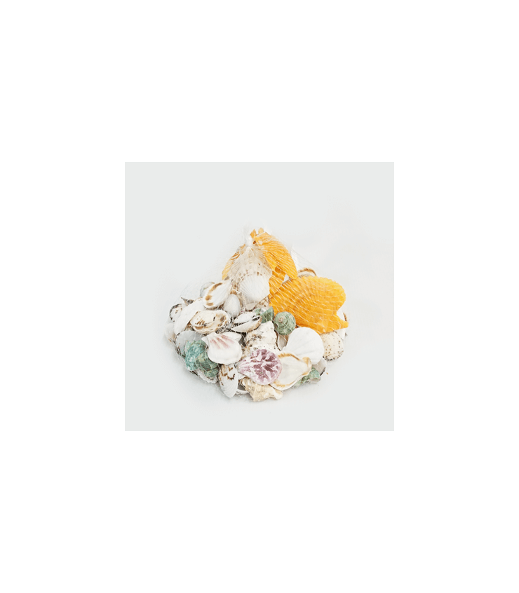 Assorted Seashells (MultiColour)