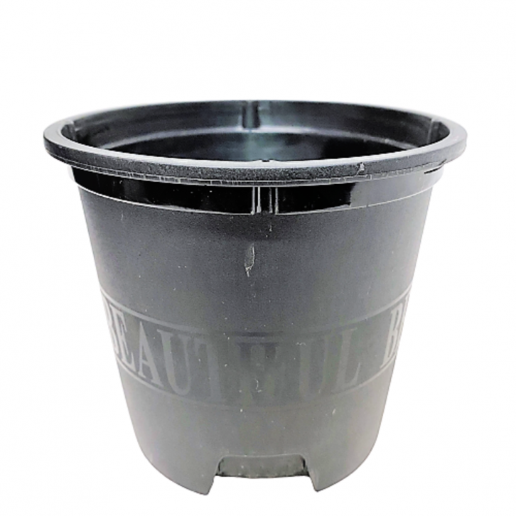 Plastic Planter Pot (Hui Li Mei 卉立美)