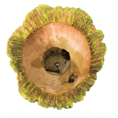 Groot Decorative Planter Pot