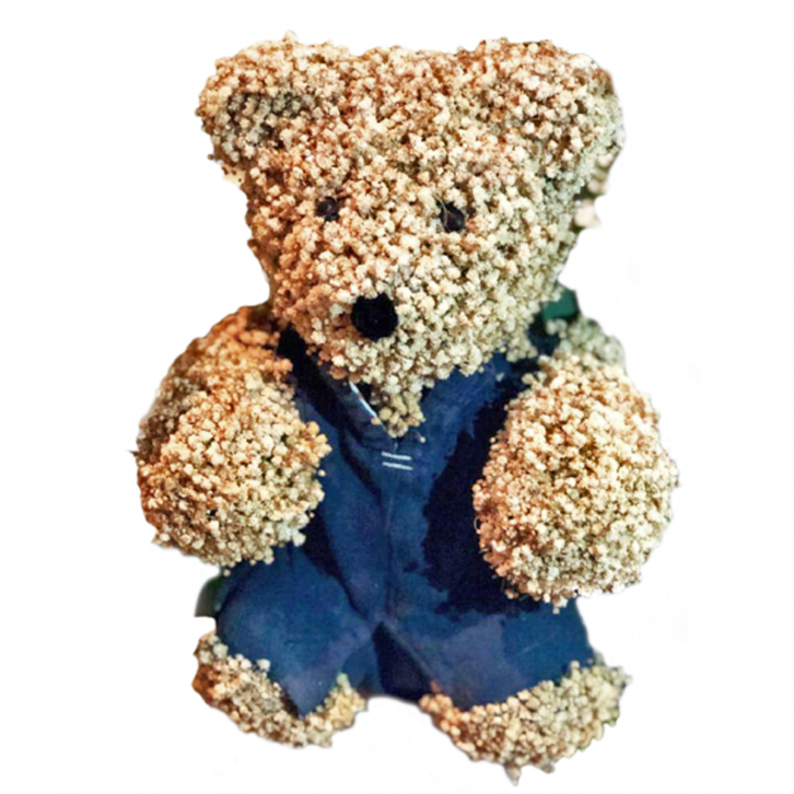 oasis teddy bear 3d