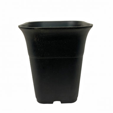 Plastic Planter Pot Square - Black (YiXiu 易秀)