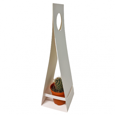 Garden Assorted Mini-Size Cactus