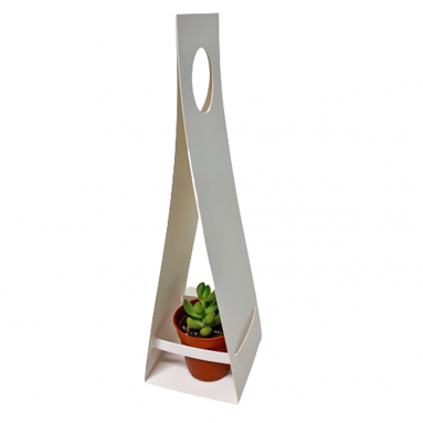 Gift Packing for Mini Succulent or Cactus