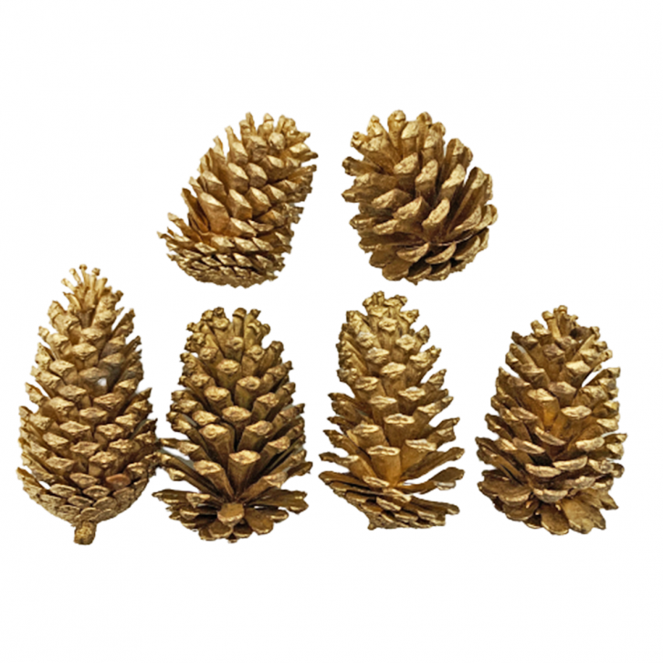 Decorative Christmas Gold Acorns (Pine cones)