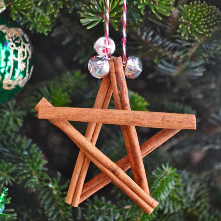 A Packet of Cinnamon Sticks