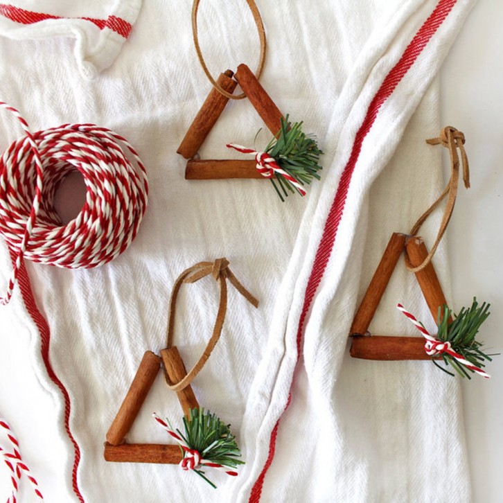 A Packet of Cinnamon Sticks