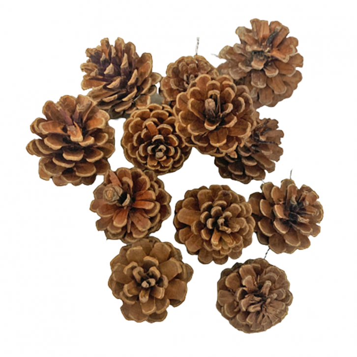 Decorative Christmas Pine Cones