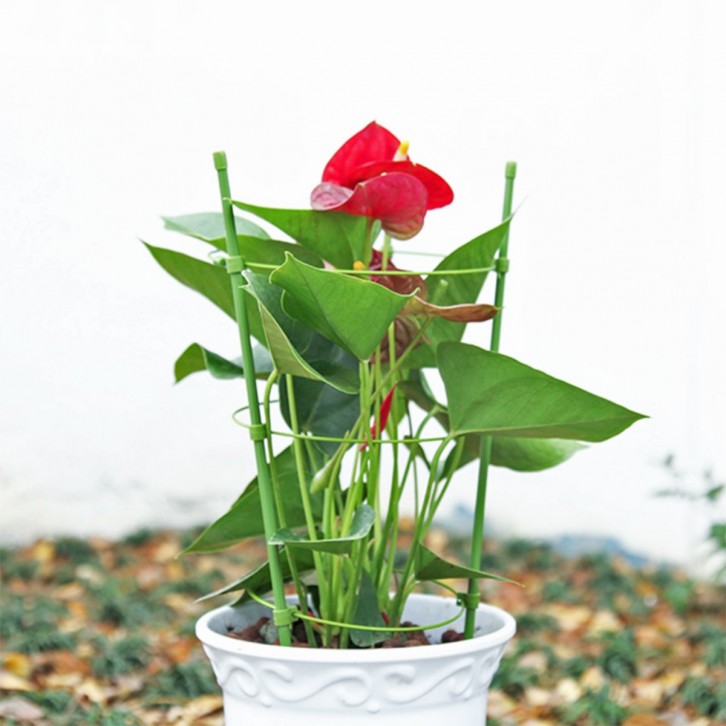 Conical Trellis Climbing Plant Supporter Frame