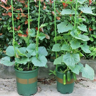 Conical Trellis Climbing Plant Supporter Frame