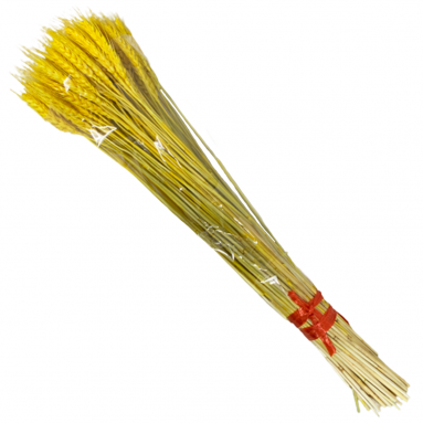 Preserved Wheat Stalks (2440)