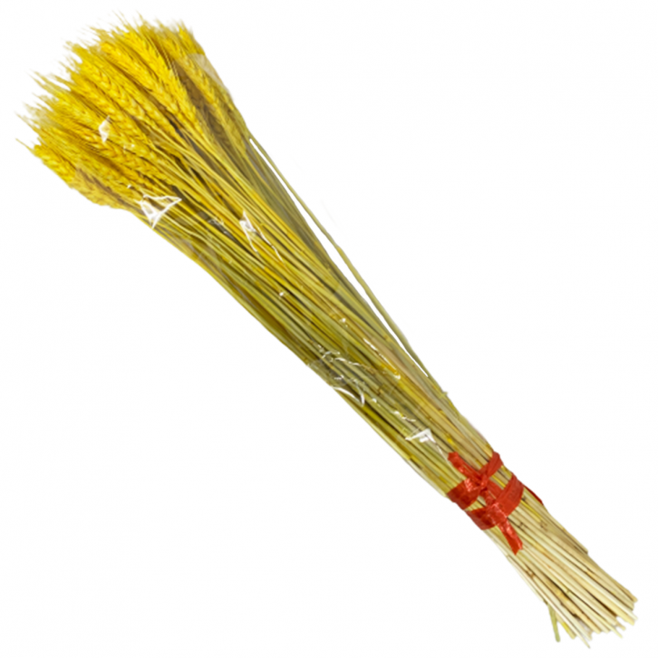 Preserved Wheat Stalks (2440)