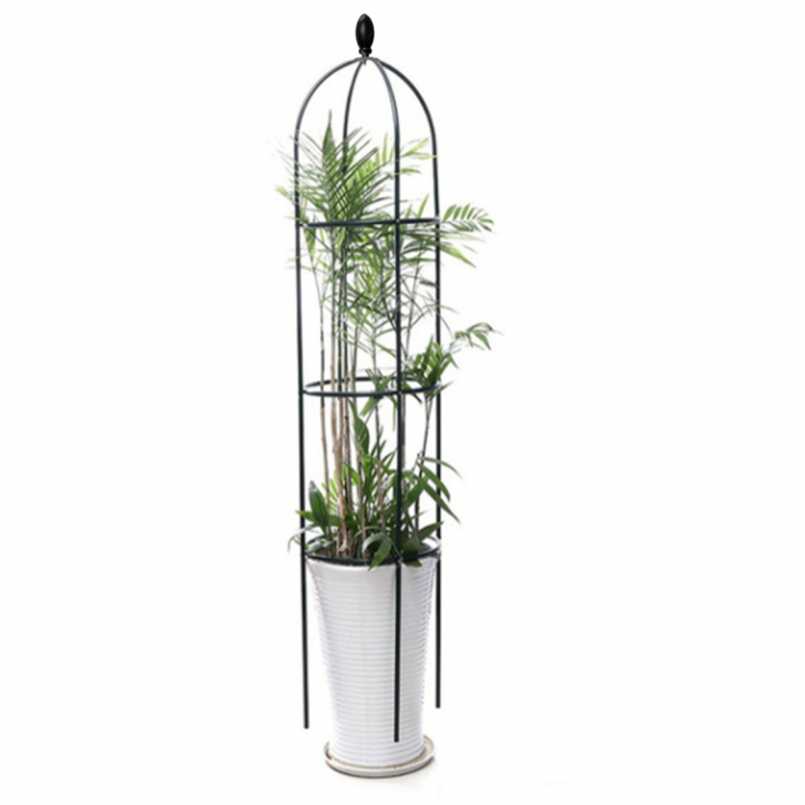 Freestanding Trellis Plastic Climbing Frame (Various Height)