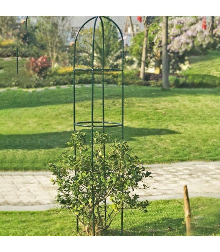 Freestanding Trellis Plastic Climbing Frame (Various Height)
