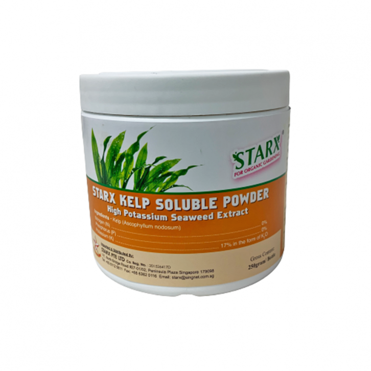 Kelp Soluble Powder (STARX)
